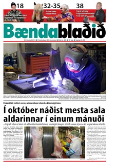 Bændablaðið 23. tbl. 2013. árg.