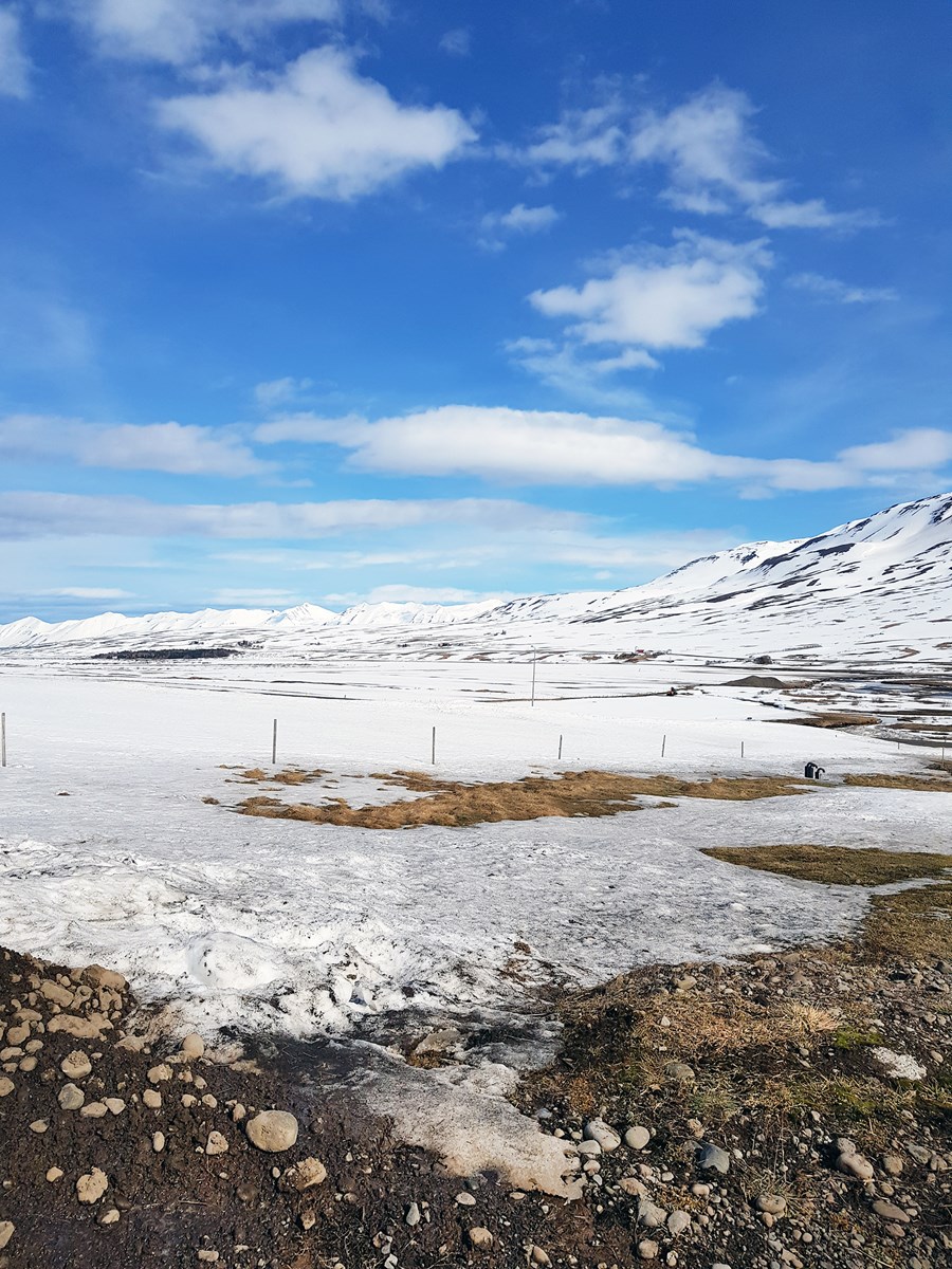 Bjargráðasjóður fær 500 milljónir vegna kal- og girðingatjóna