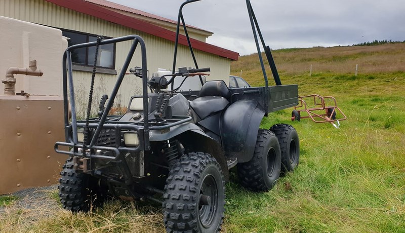 Eftir hverju erum við að bíða – er ekki komið nóg?