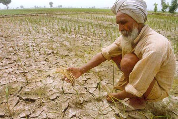 Gríðarlegir þurrkar