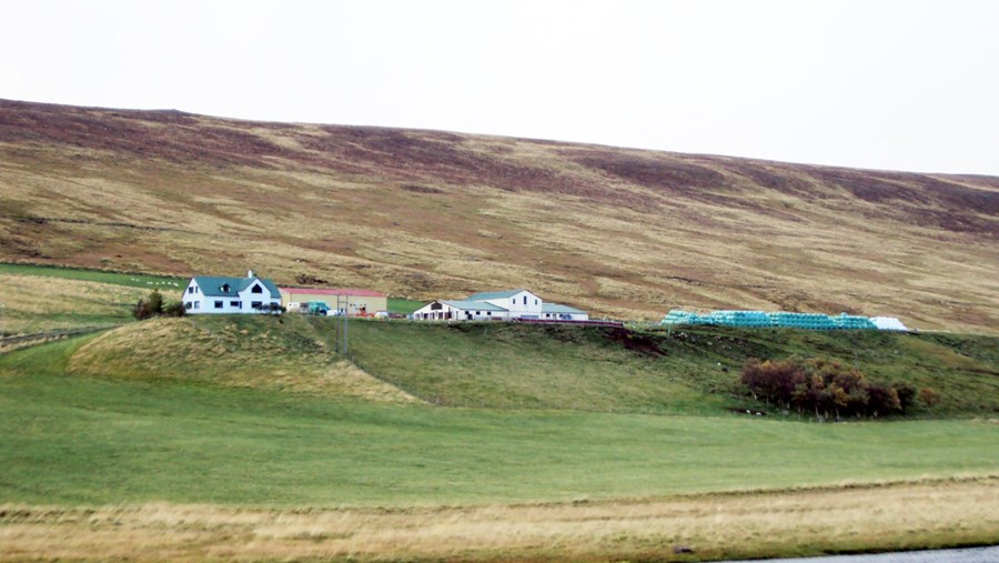 Bærinn okkar Barkarstaðir og Torfustaðir