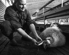 Hugleiðingar um stjórnsýslu landbúnaðarmála