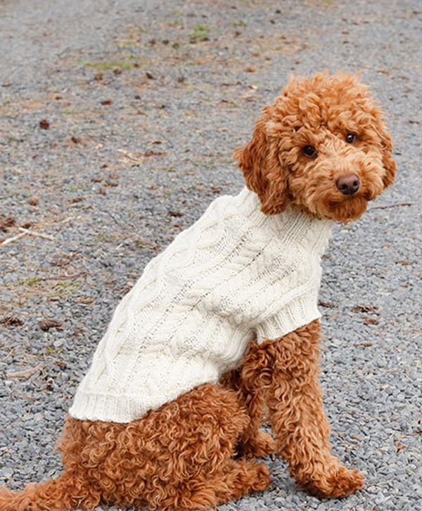 Kaðlapeysa á hunda