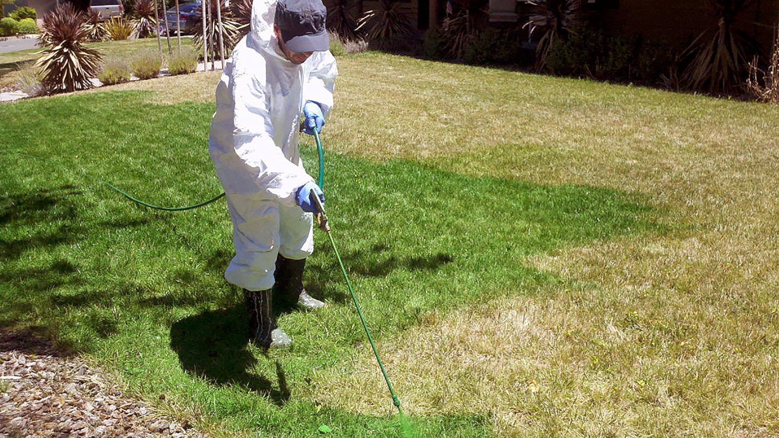 Málar garðana græna