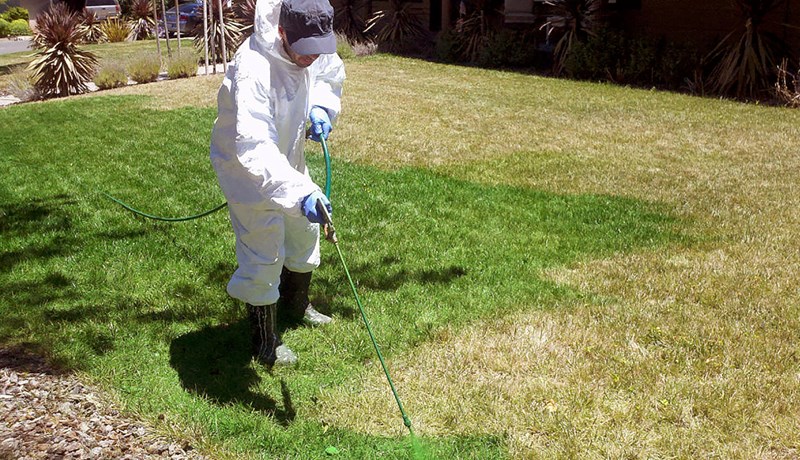 Málar garðana græna