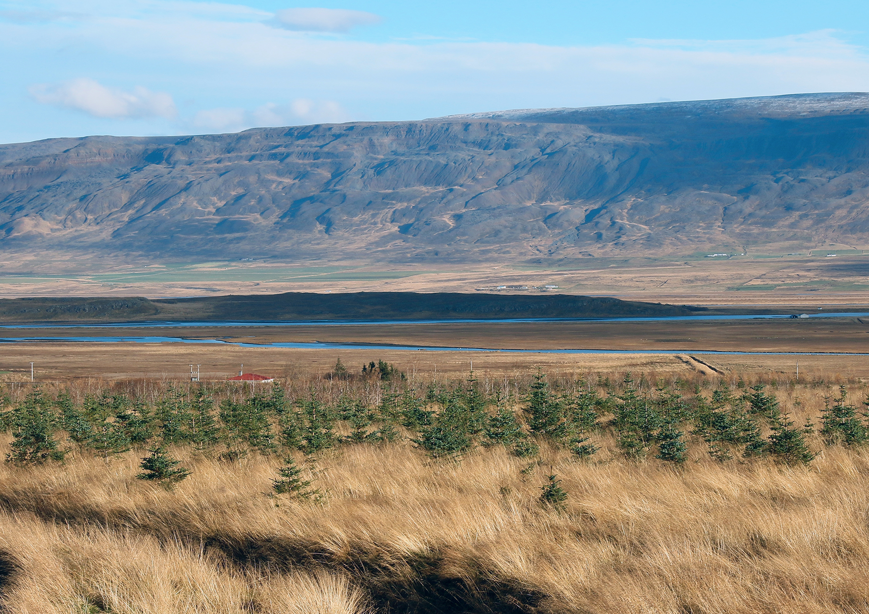 Skógur gerir bóndann ríkari