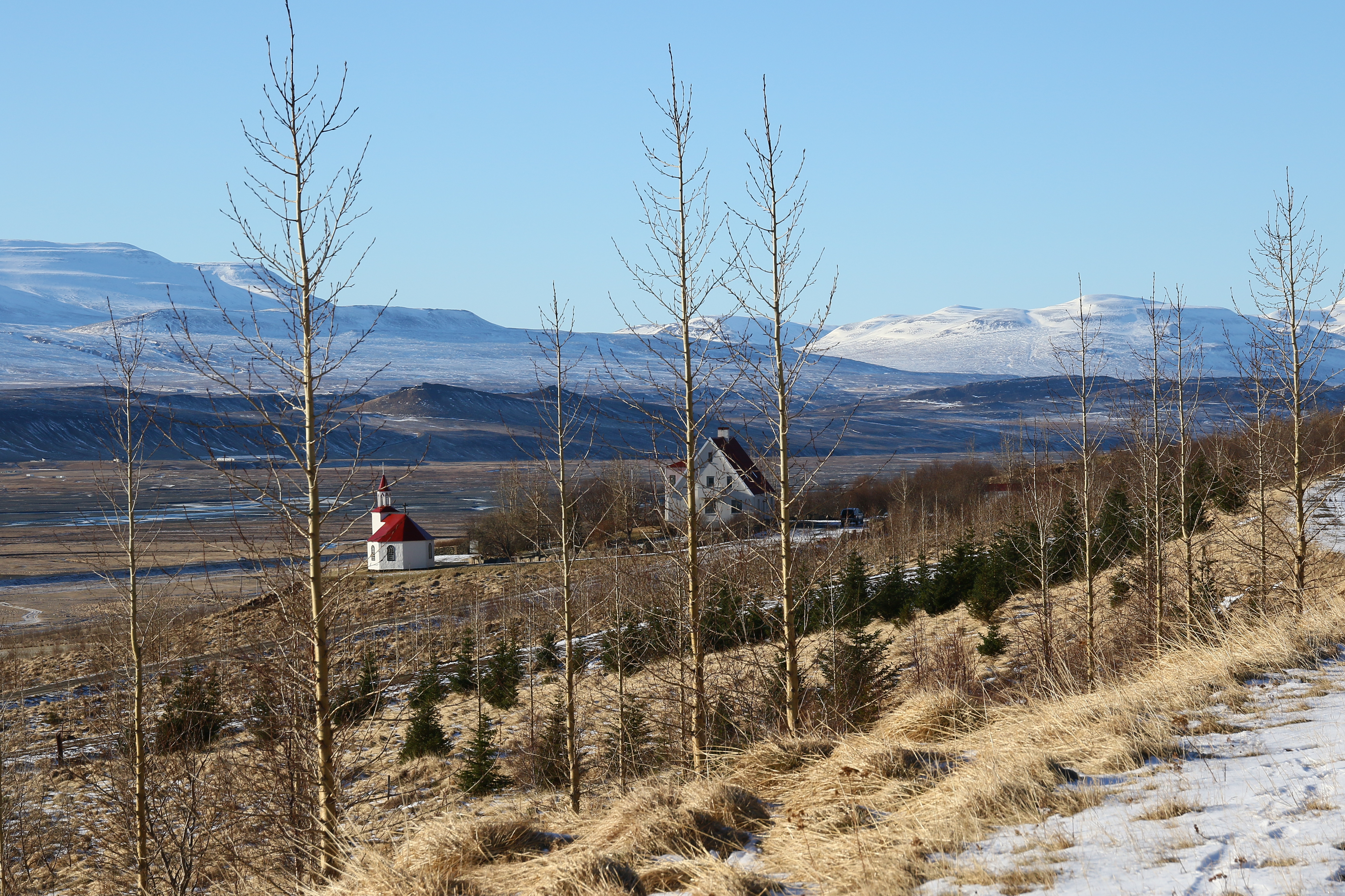 Fjóshaugur mannkyns