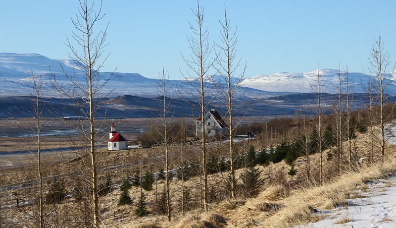 Fjóshaugur mannkyns