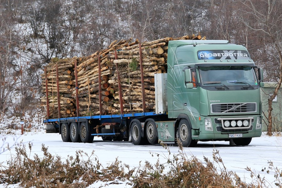 Íslenskt grisjunartimbur á leið til Grundartanga. Mynd / Pétur Halldórsson