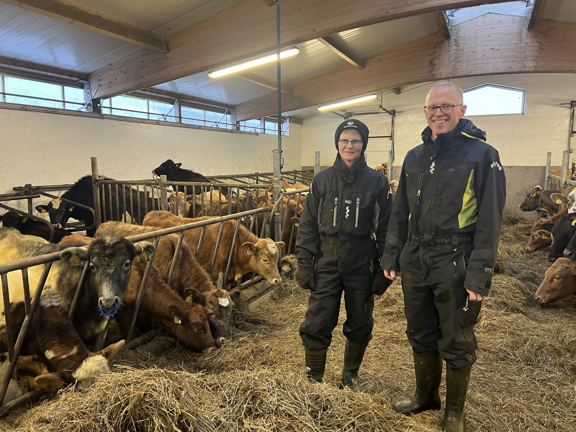 Loftslagsvænt kúabú