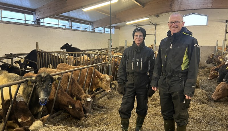 Loftslagsvænt kúabú