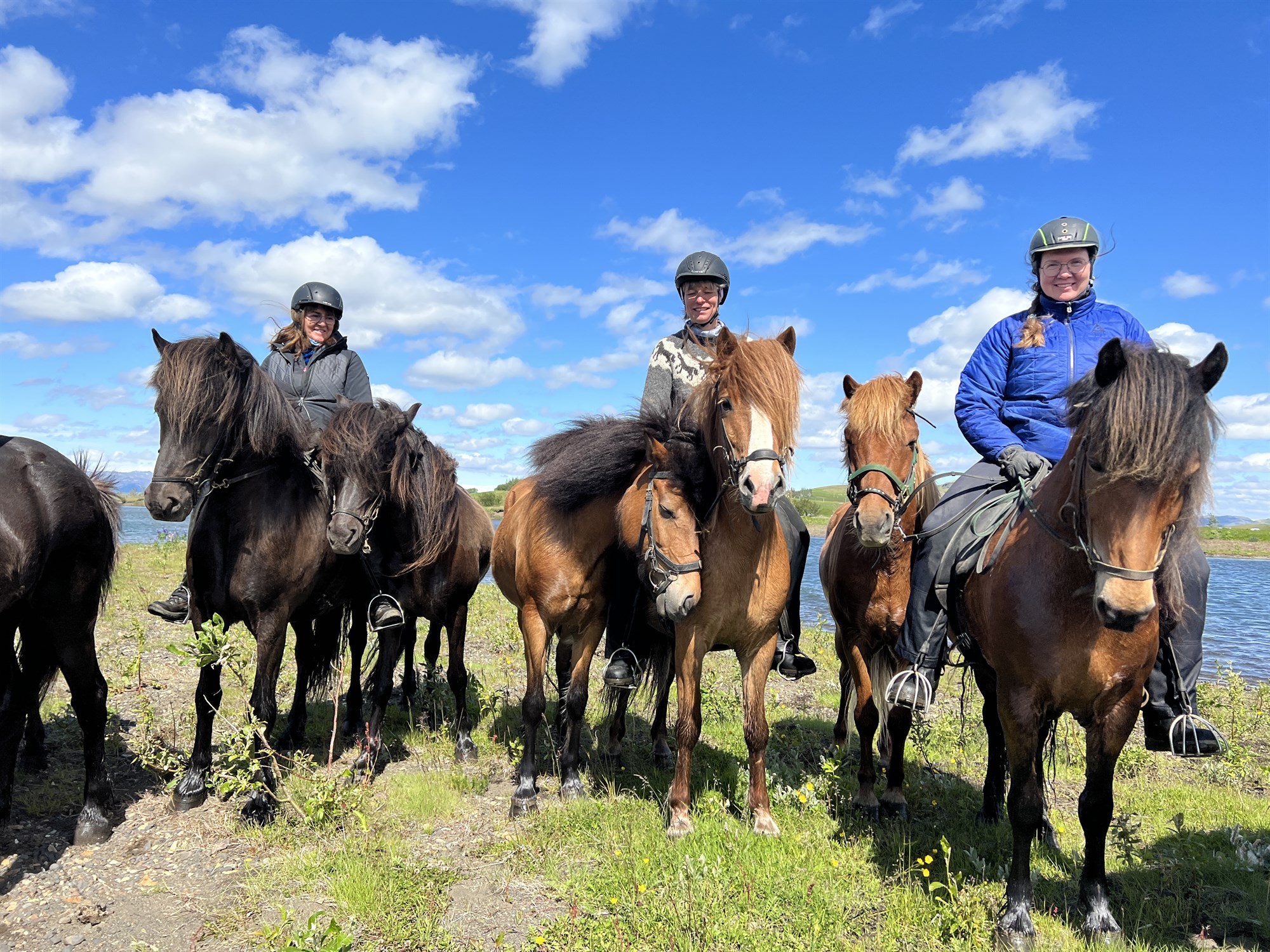 Hesturinn er sameiningartákn