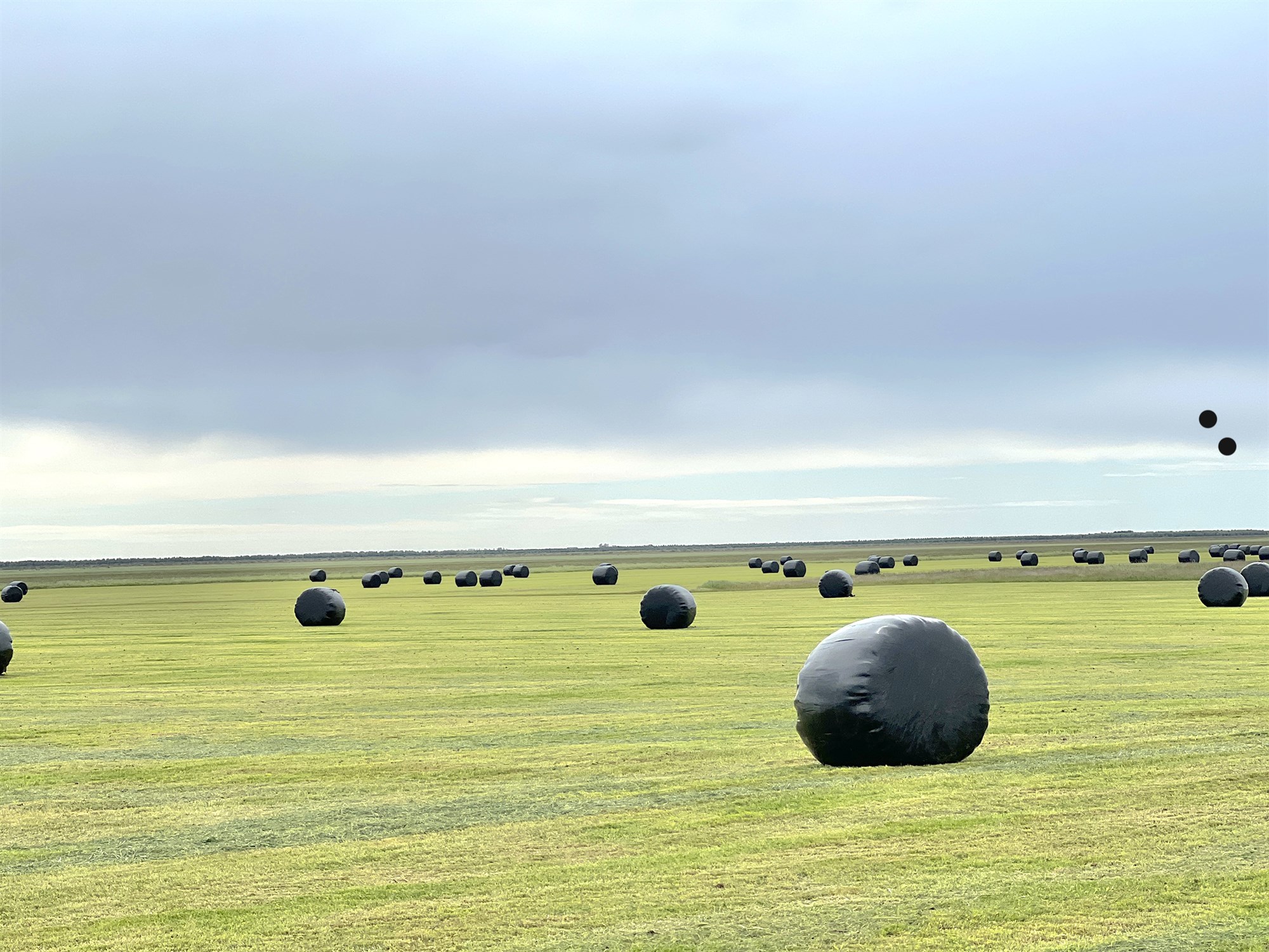 Hyggjast hækka gjöld á umbúðir og heyrúlluplast