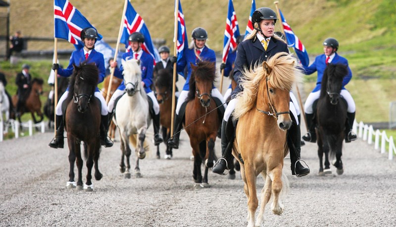 Iðandi mannlíf í Víðidal