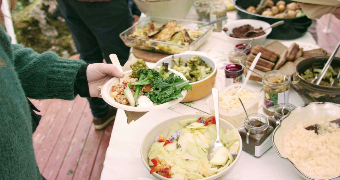 Lífræni dagurinn 16. september 2023