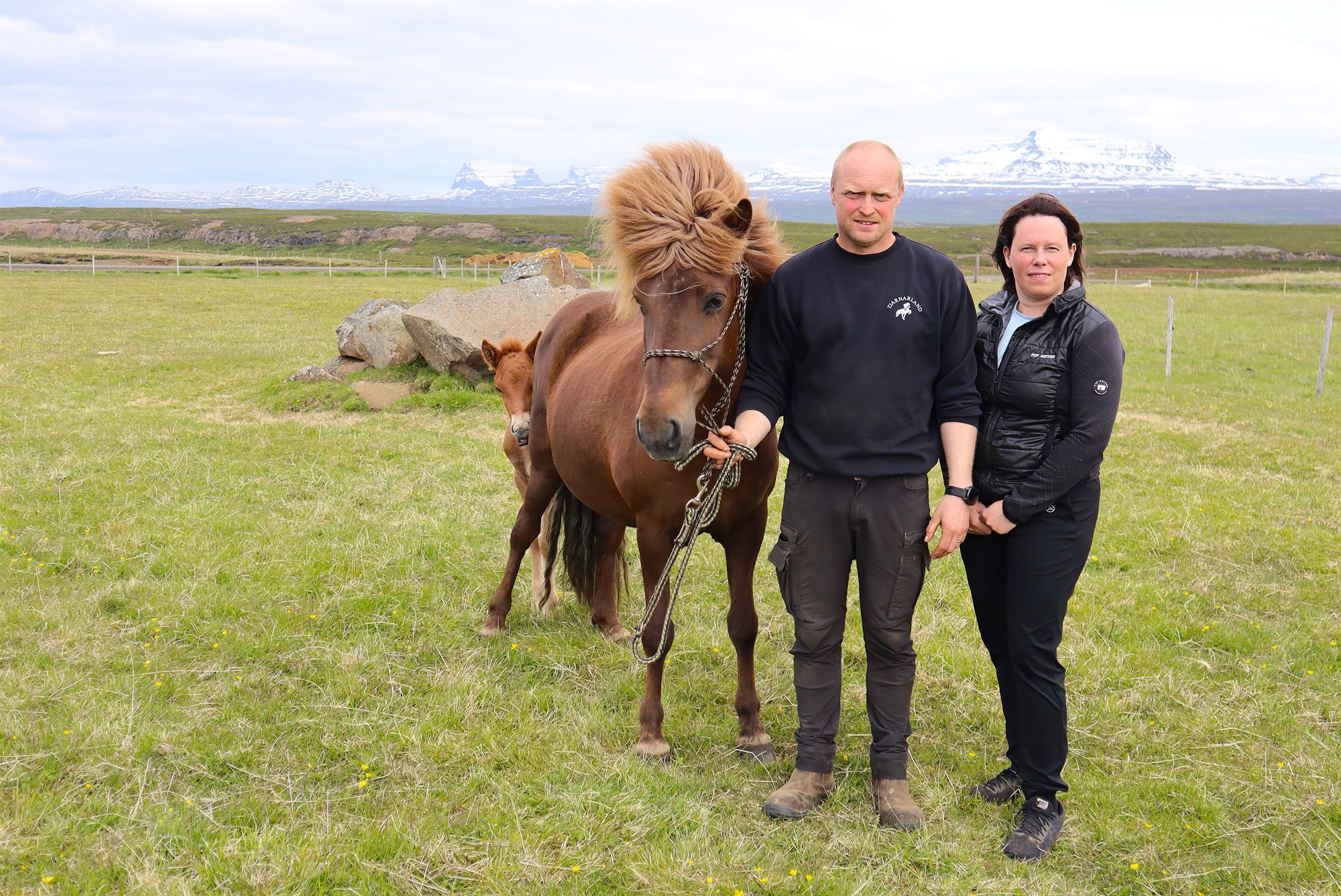 Málefni ungra bænda krufin meðfram bústörfum og öðru brasi