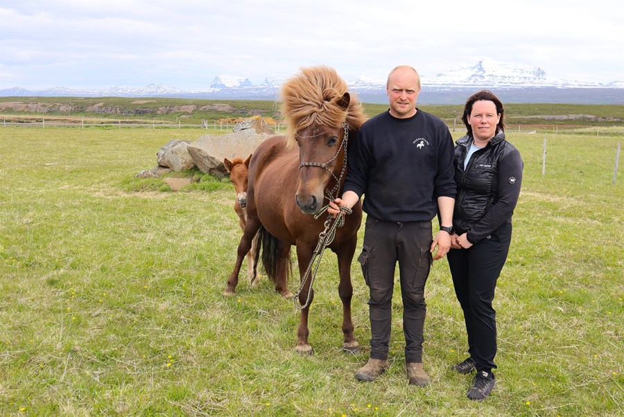 Einar Kristján Eysteinsson og Sigrún Júnía Magnúsdóttir, bændur á Tjarnarlandi, með Óskadís, 15 vetra, frá Stóra Steinsvaði. Folaldið er Eldur frá Tjarnarlandi, undan Ský frá Skálakoti.