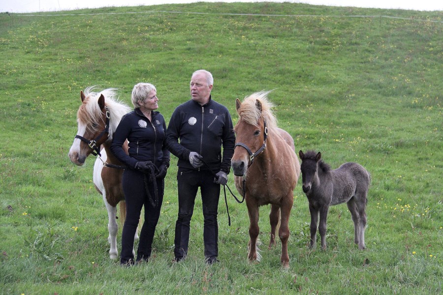 Olil Amble og Bergur Jónsson ásamt tveimur af heiðursverðlaunahryssum ræktunarbúsins, þeim Álfadísi frá Selfossi og Ljónslöpp frá Ketilsstöðum.