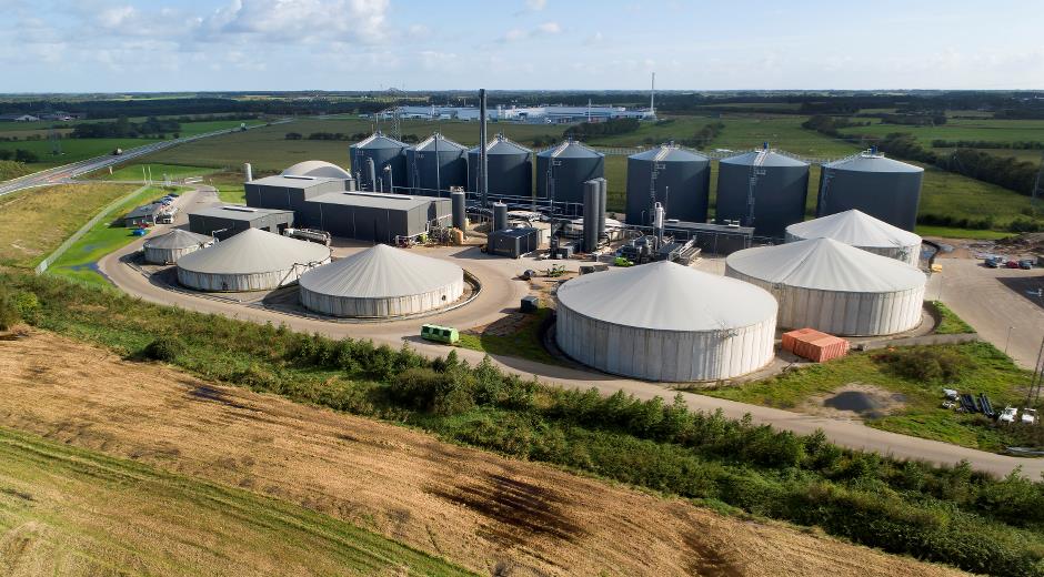 Fagþing dönsku nautgriparæktarinnar 2024 – Fyrsti hluti