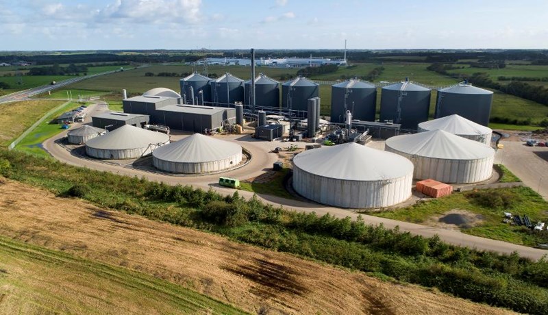 Fagþing dönsku nautgriparæktarinnar 2024 – Fyrsti hluti