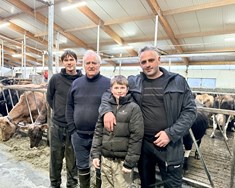 Kýrnar í Hólmi mjólkuðu mest