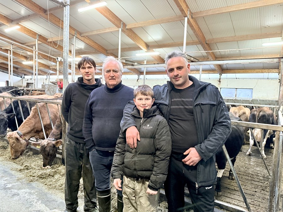 Í fjósinu í Hólmi í Landeyjum. Á myndinni eru Guðmundur Garðarsson, Garðar Guðmundsson, Jón Guðmundsson og Zakaria Natsvlishvili. Mjólkurkýrnar í Hólmi voru með hæstu meðalnytina á síðasta ári og segir Garðar mestu máli skipta að ná góðum heyjum.