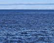 Ríki heims huga að sjávarorku en Íslendingar sofa á verðinum