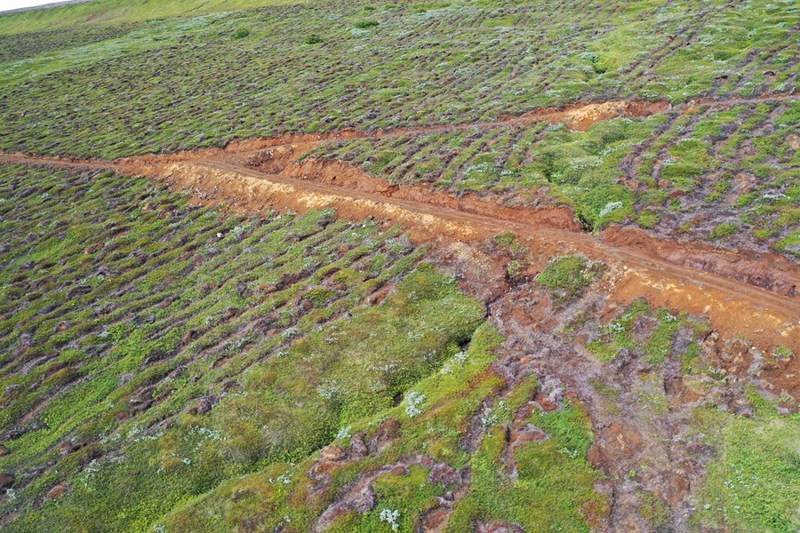 Kvíaból í Þingeyjarsveit. Eru skattborgarar sáttir við að opinberum fjármunum sé varið í skógrækt með stafafuru í snarbrattri fjallshlíð með ríkulegri líffræðilegri fjölbreytni?