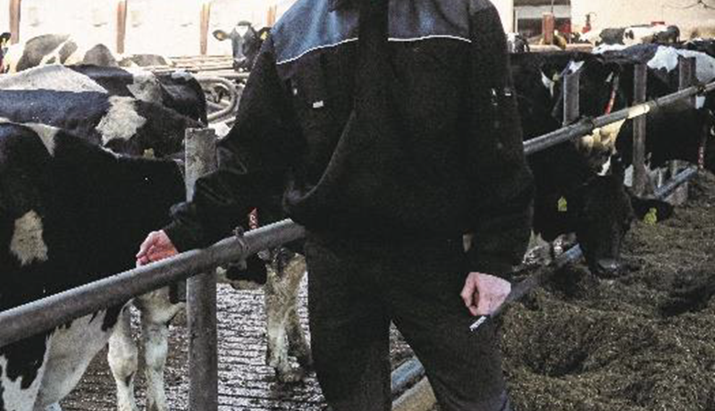 Fagþing nautgriparæktarinnar í Danmörku – Fyrsti hluti