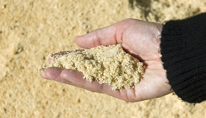 Er hægt að fóðra kýr á sagi?