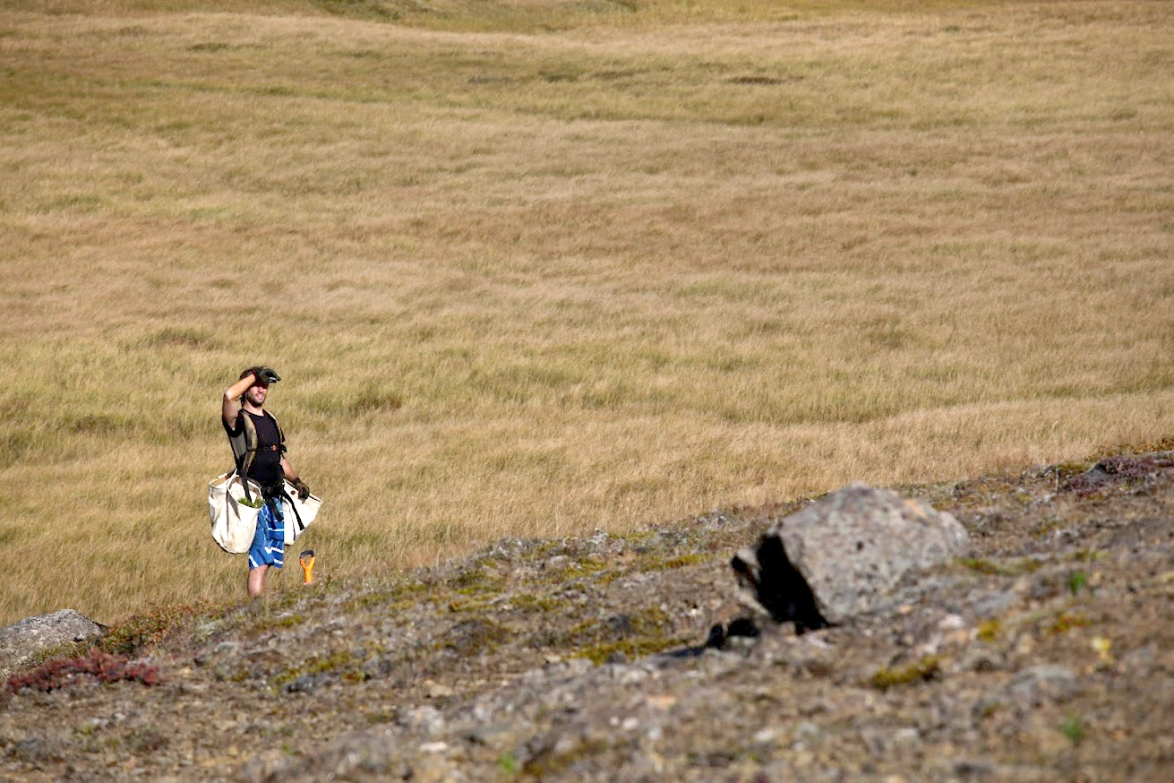Skýrar leikreglur um kolefnisjöfnun