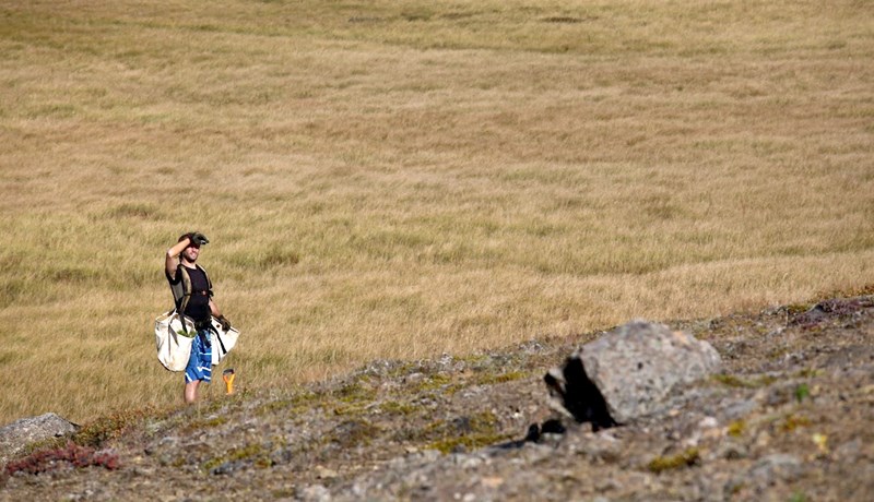 Skýrar leikreglur um kolefnisjöfnun