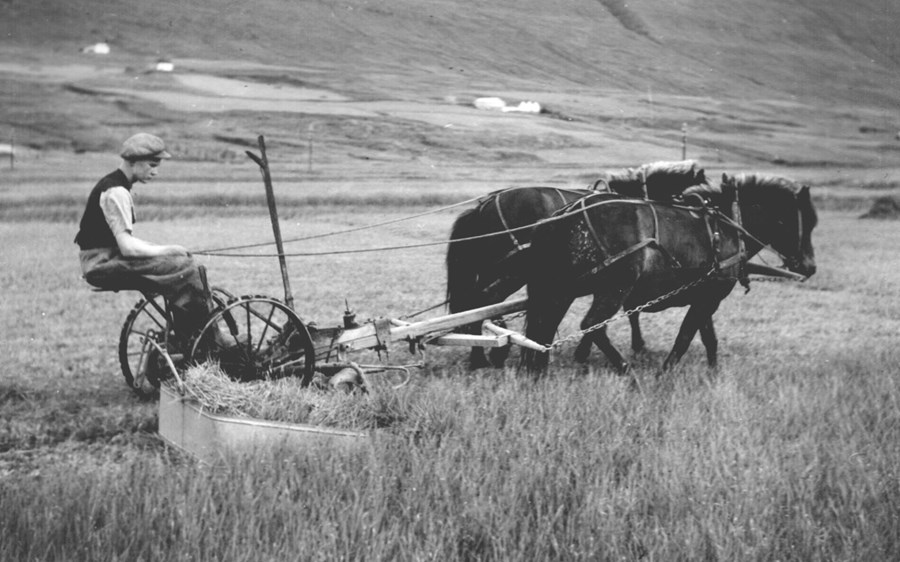 Hestasláttuvélar voru víða helsta heyskaparnýmælið á fyrra helmingi síðustu aldar. Hestknúin verkfæri til sláttar – með greiðu og ljá – bárust svo þúsundum skipti til landsins. Árni Sigurgeirsson á Eyrarlandi slær og notar heyskúffu við engjasláttinn. (Vélsm. Steindórs).