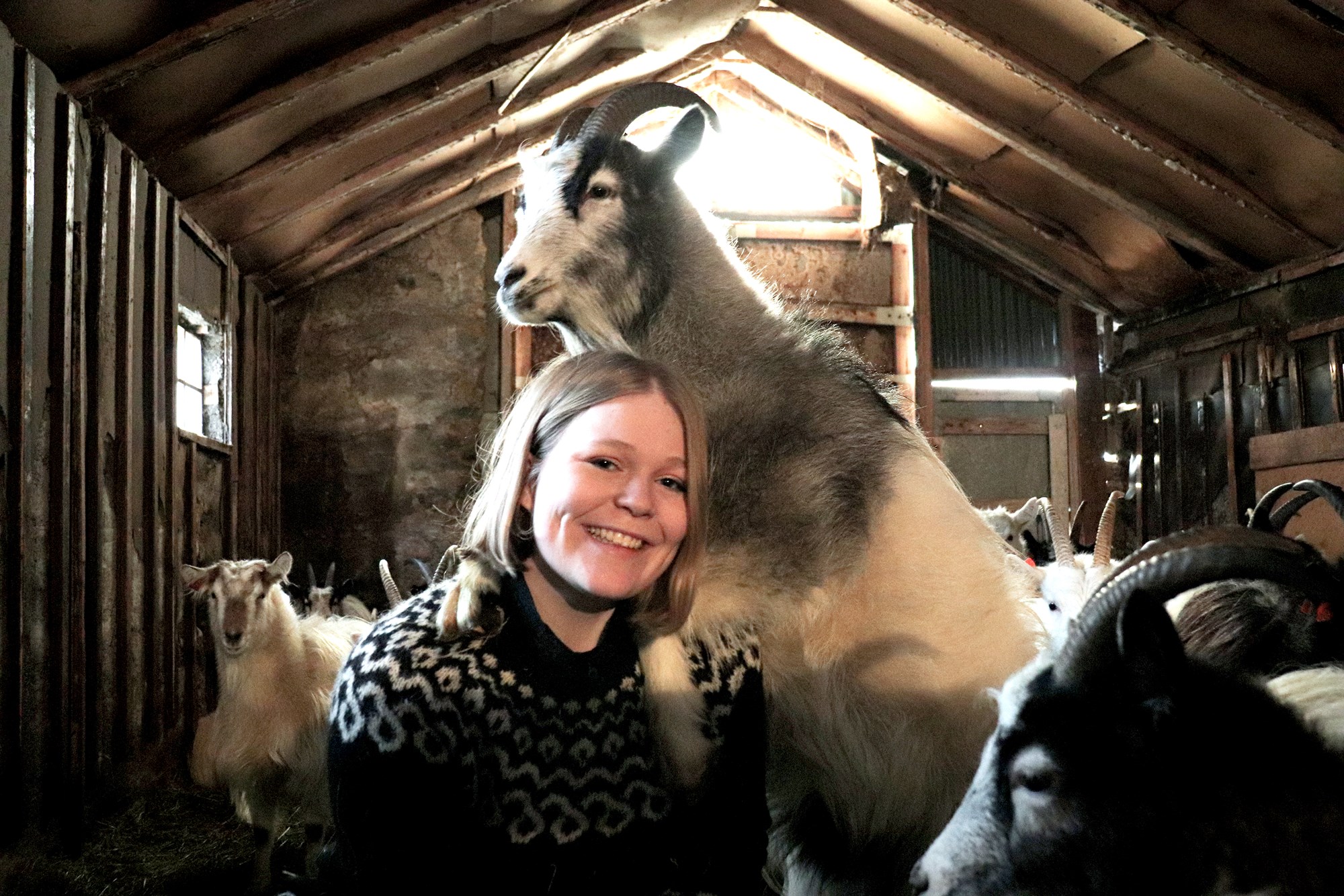 Sápur úr hreindýrafitu