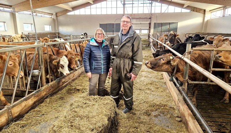 Ekki byggt á einni nóttu