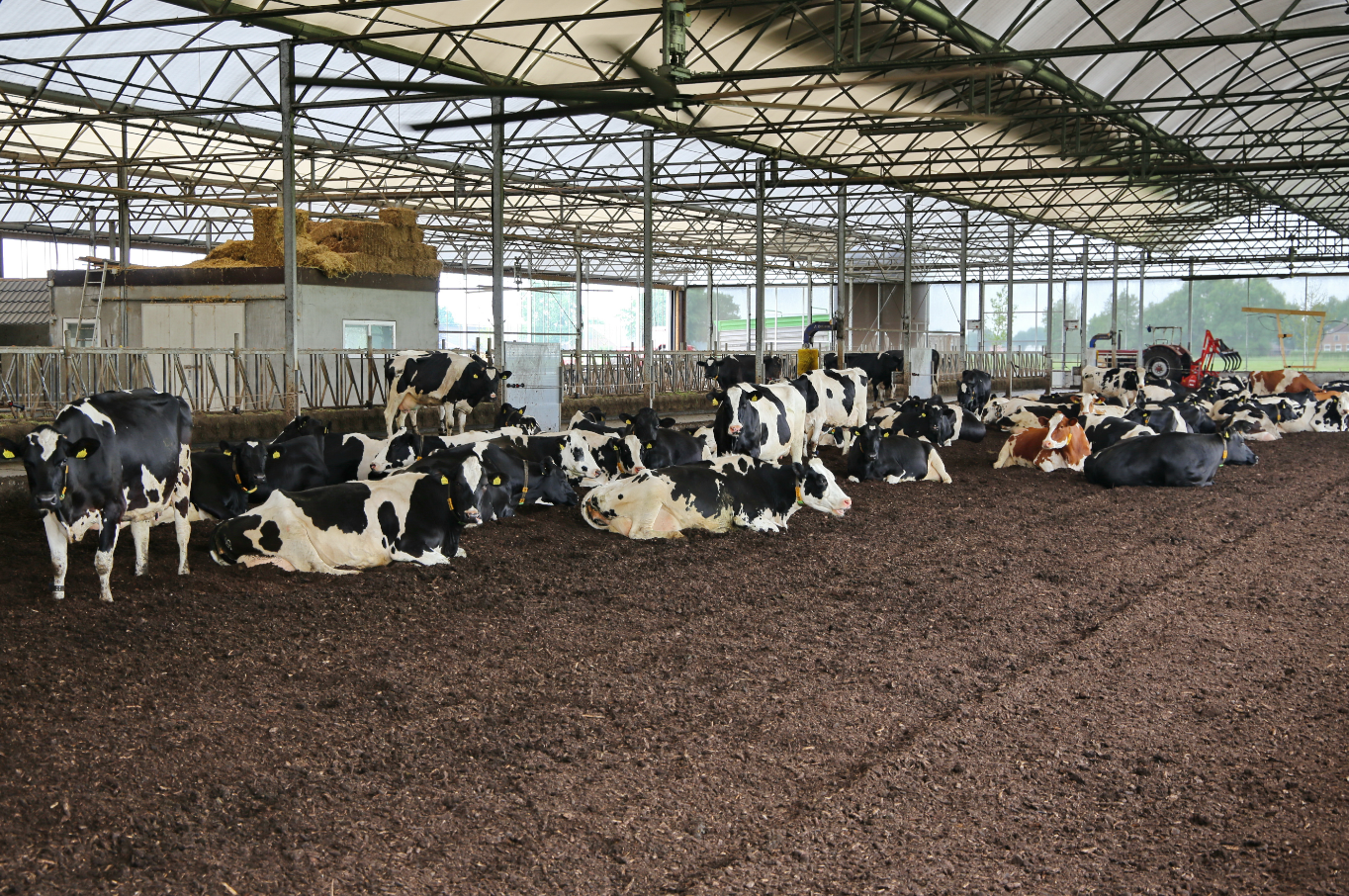 Framtíðarfjósið án legubása?