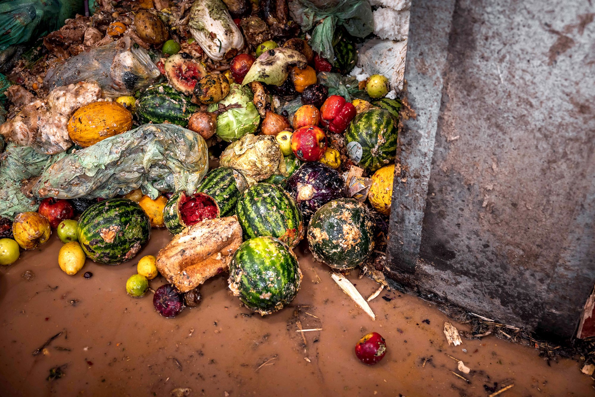Lífrænn úrgangur er vannýtt auðlind á Íslandi