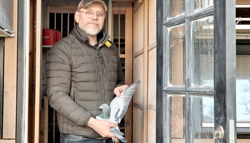 Bréfdúfnaeldi á Skólavörðuholtinu