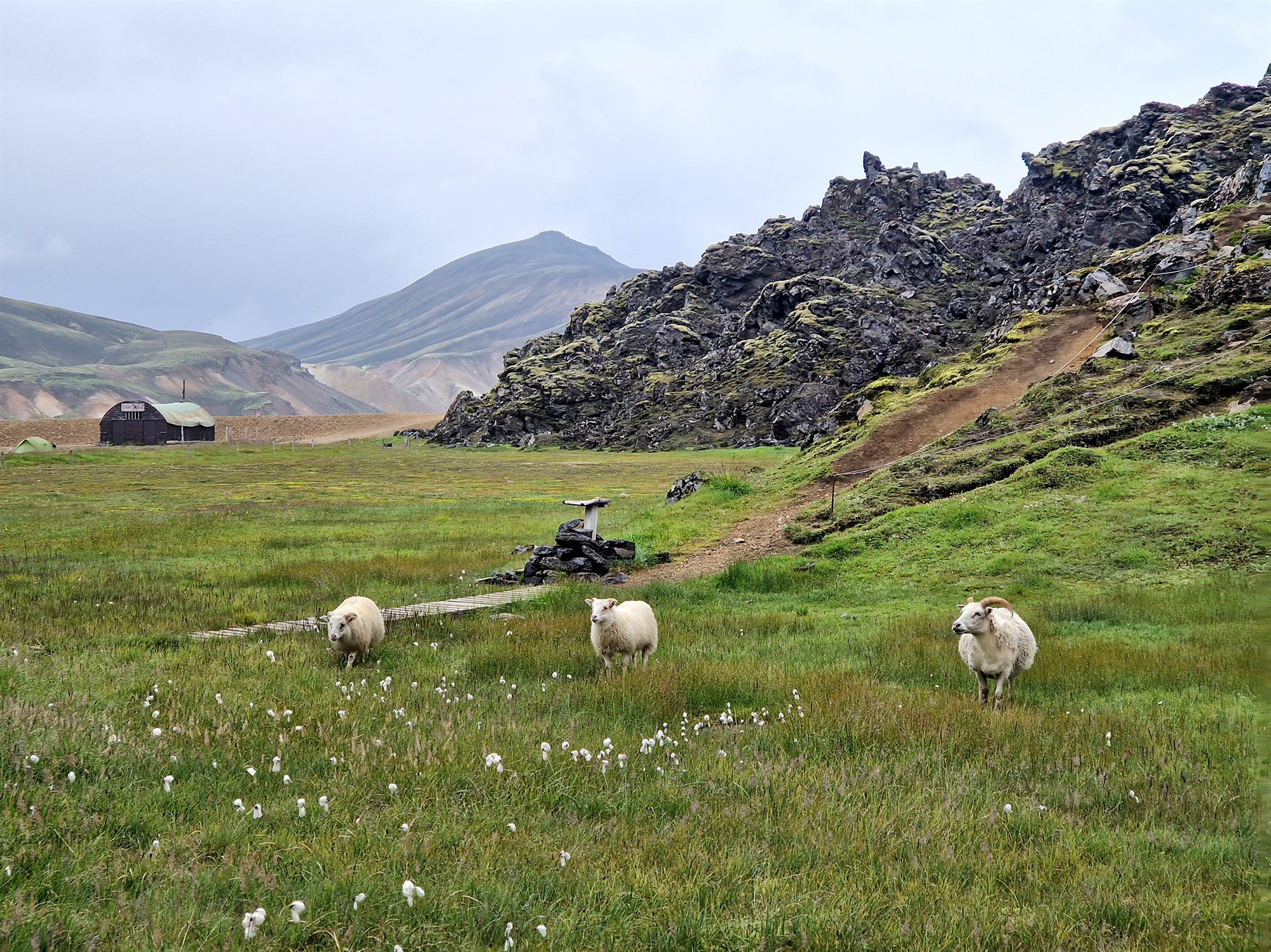 Enginn bóndi er eyland