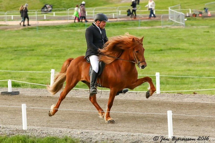 Skaginn frá Skipaskaga.