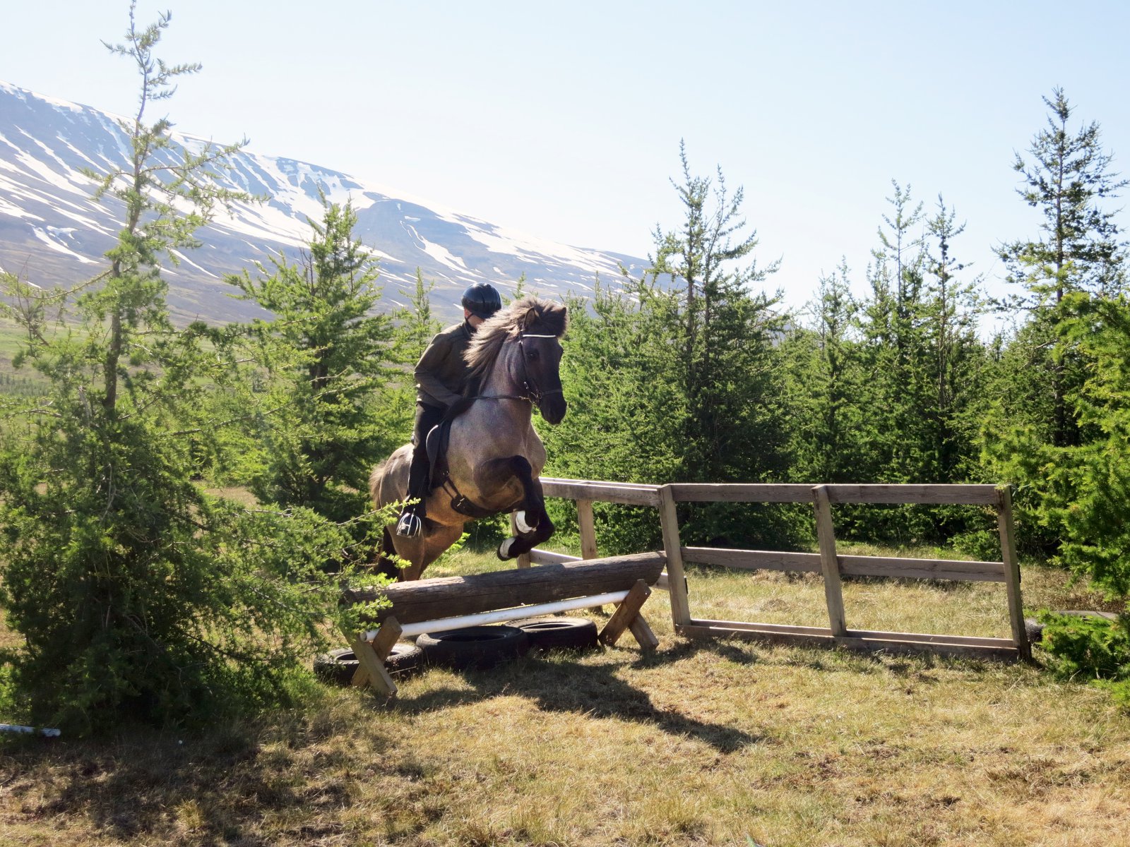 TREC í takt við íslenska reiðmennsku