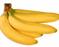 Sýking ógnar bananarækt í Mið-Ameríku