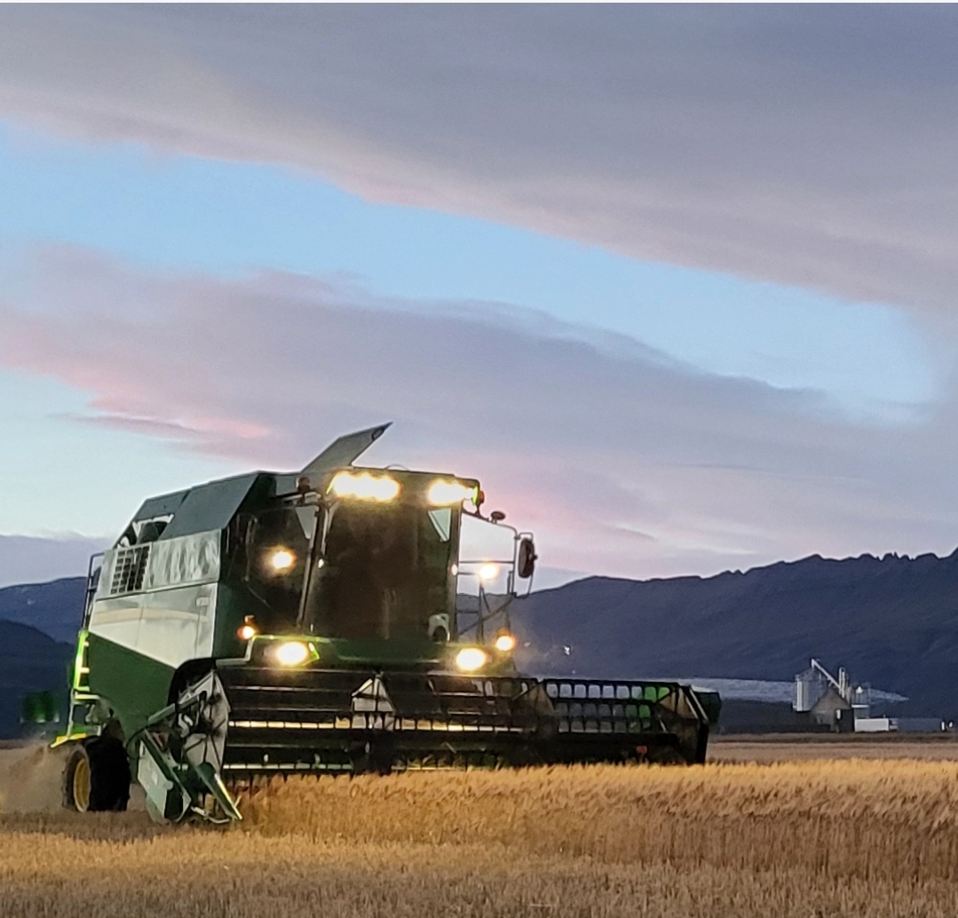 Uppskeran misjöfn eftir landshlutum