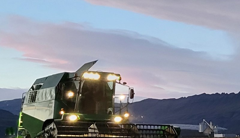 Uppskeran misjöfn eftir landshlutum