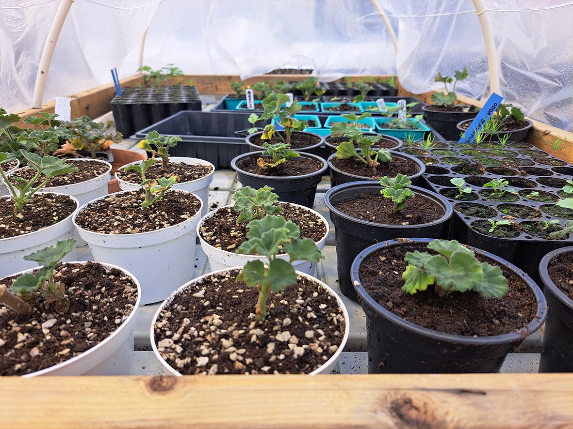 Lokaverkefni í fullum gangi