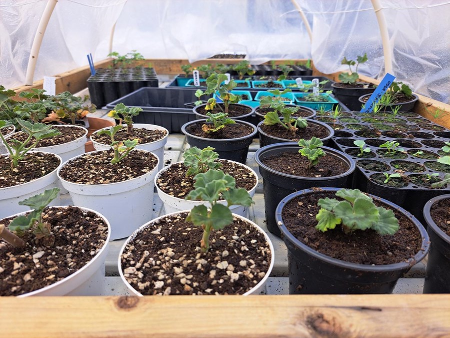 Það reynir á sjálfstæð vinnubrögð í verkefnunum.