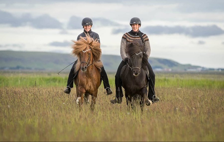 Þau Hanna Rún Ingibergsdóttir og Hjörvar Ágústsson reka Kirkjubæjarbúið ásamt foreldrum Hjörvars.