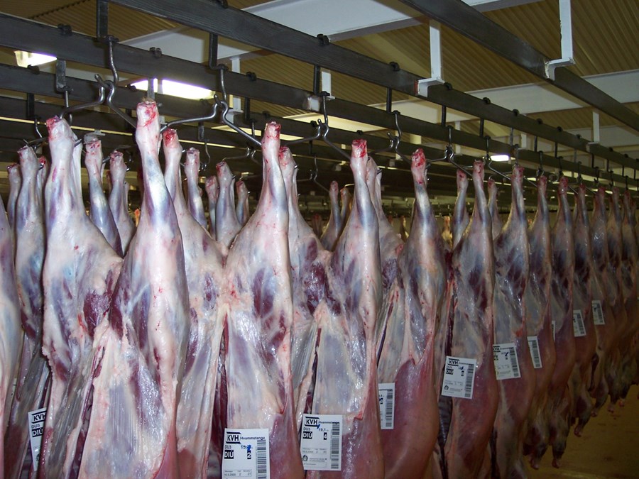 Í úttekt KPMG kemur fram að sláturkostnaður sé á bilinu 150 krónur til 350 krónur á hvert kíló.