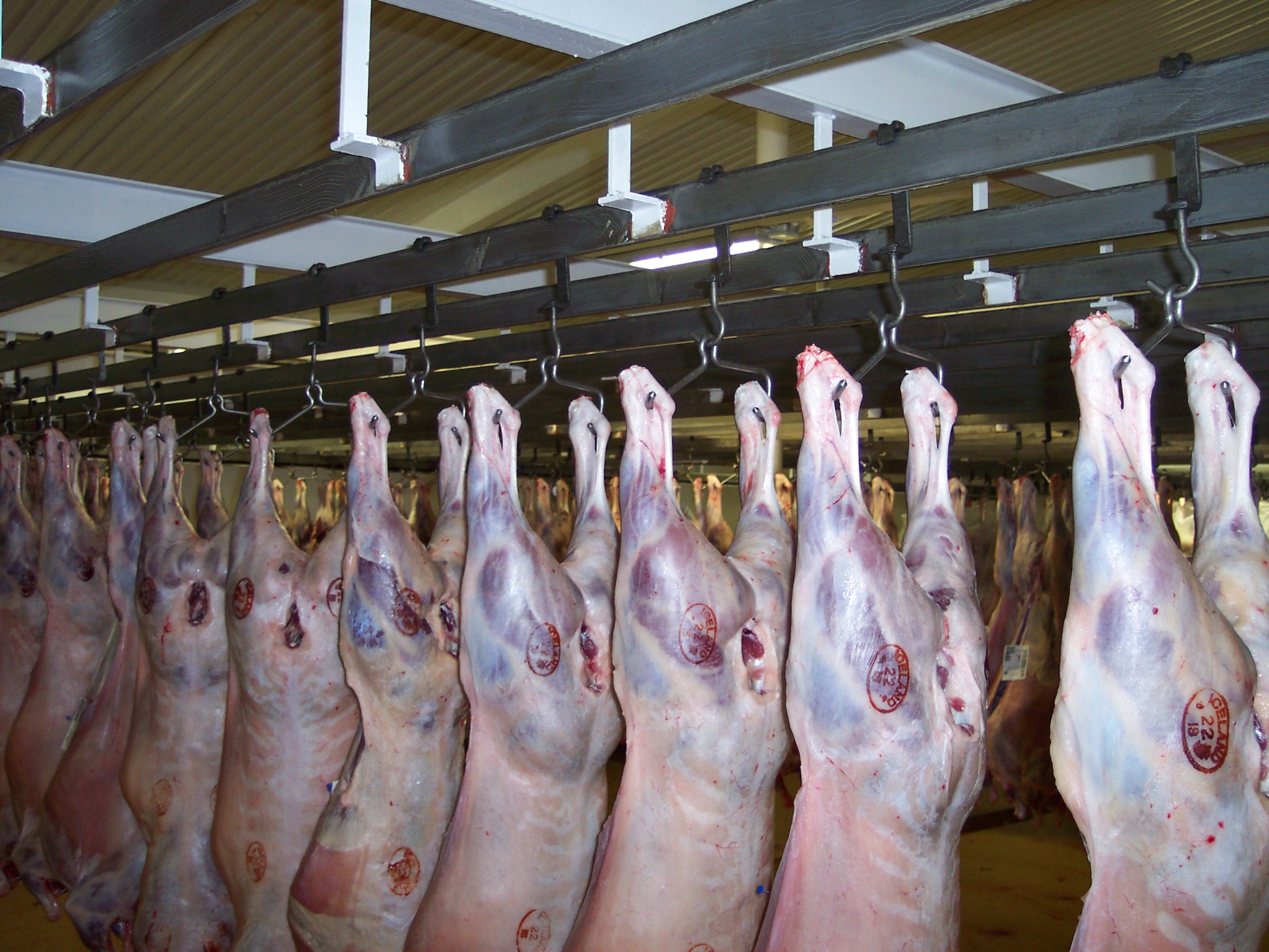 Íslenskir kjötframleiðendur gætu tapað hátt í 2.000 milljónum á ári