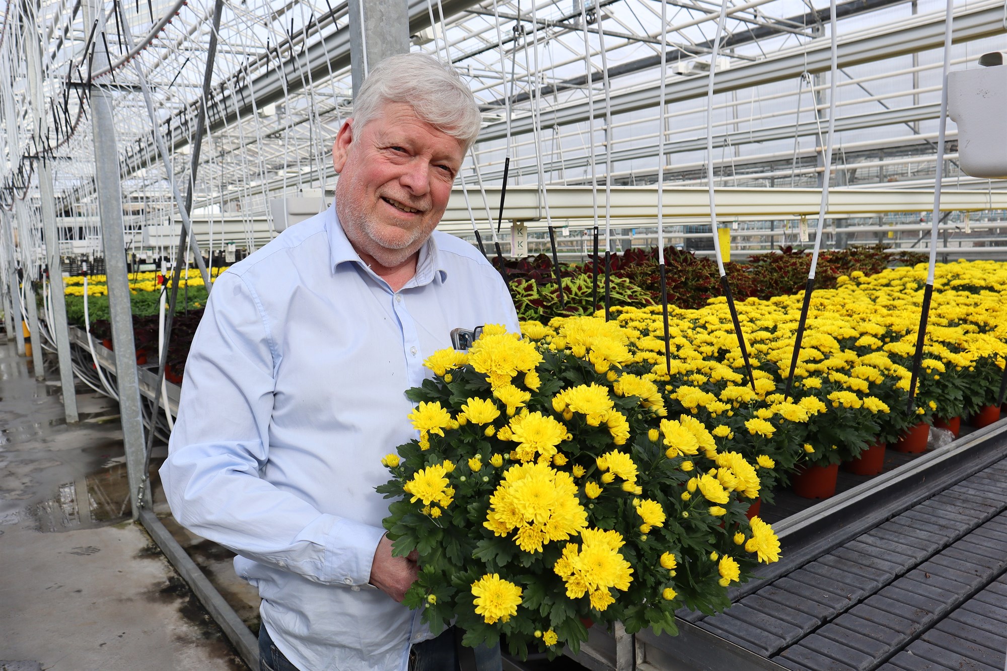 Grænar plöntur ná yfirhöndinni en páskagult er þó næst á dagskrá